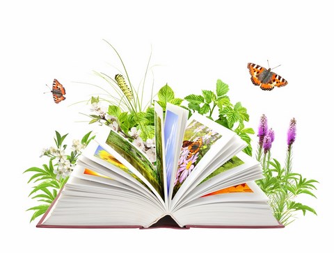 Книга: Экология культуры